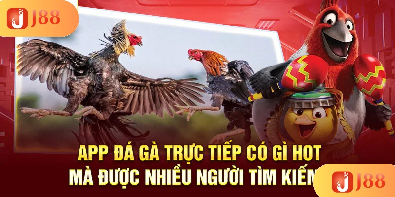 app-da-ga-truc-tiep-co-gi-hot-ma-duoc-nhieu-nguoi-tim-kiem