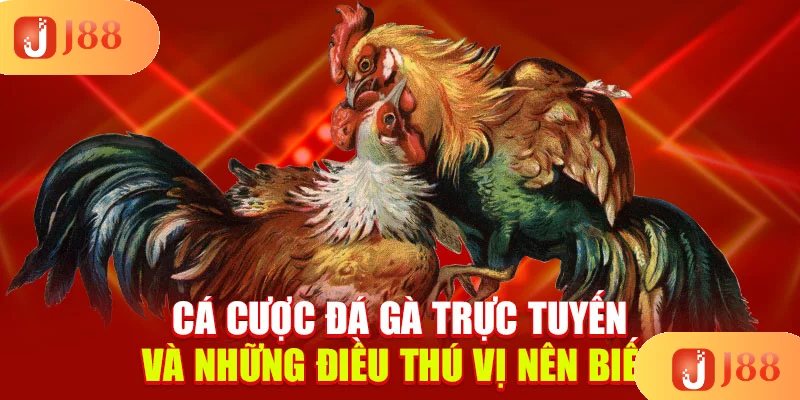 ca-cuoc-da-ga-truc-tuyen-va-nhung-dieu-thu-vi-nen-biet-