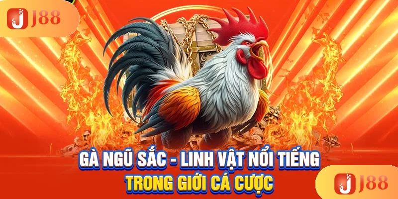 ga-ngu-sac-linh-vat-noi-tieng-trong-gioi-ca-cuoc