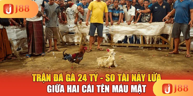 tran-da-ga-24-ty-so-tai-nay-lua-giua-hai-cai-ten-mau-mat