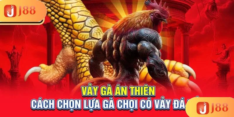 vay-ga-an-thien-cach-chon-lua-ga-choi-co-vay-da-tot_3_11zon