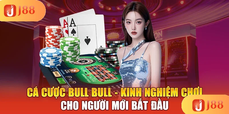ca-cuoc-bull-bull-kinh-nghiem-choi-cho-nguoi-moi-bat-dau
