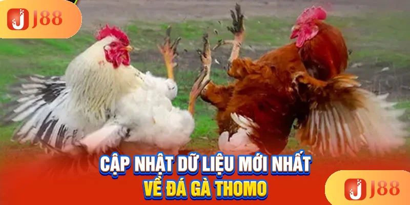 cap-nhat-du-lieu-moi-nhat-ve-da-ga-thomo cap-nhat-du-lieu-moi-nhat-ve-da-ga-thomo
