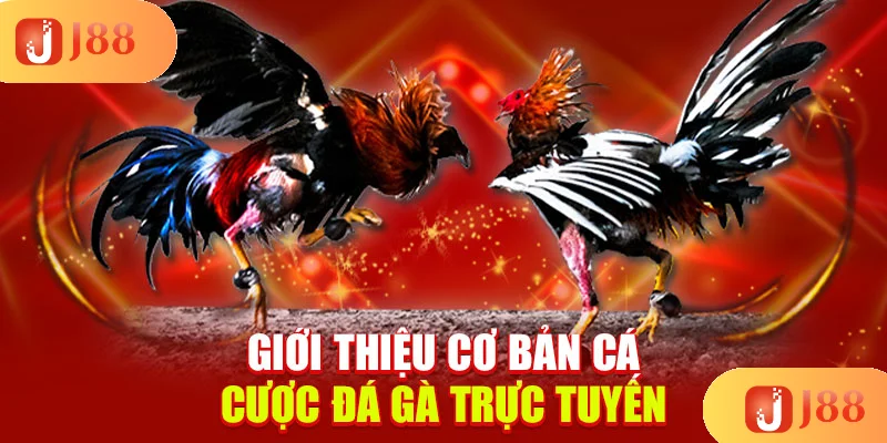 gioi-thieu-co-ban-ca-cuoc-da-ga-truc-tuyen gioi-thieu-co-ban-ca-cuoc-da-ga-truc-tuyen