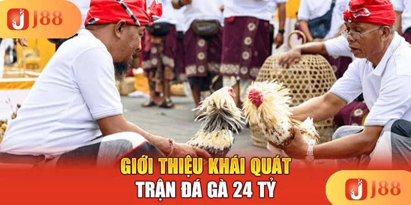 gioi-thieu-khai-quat-tran-da-ga-24-ty gioi-thieu-khai-quat-tran-da-ga-24-ty