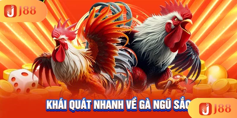 khai-quat-nhanh-ve-ga-ngu-sac