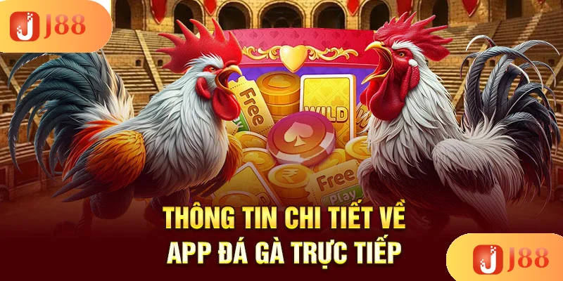 thong-tin-chi-tiet-ve-app-da-ga-truc-tiep thong-tin-chi-tiet-ve-app-da-ga-truc-tiep