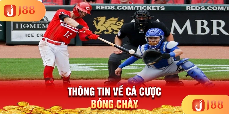 thong-tin-ve-ca-cuoc-bong-chay thong-tin-ve-ca-cuoc-bong-chay