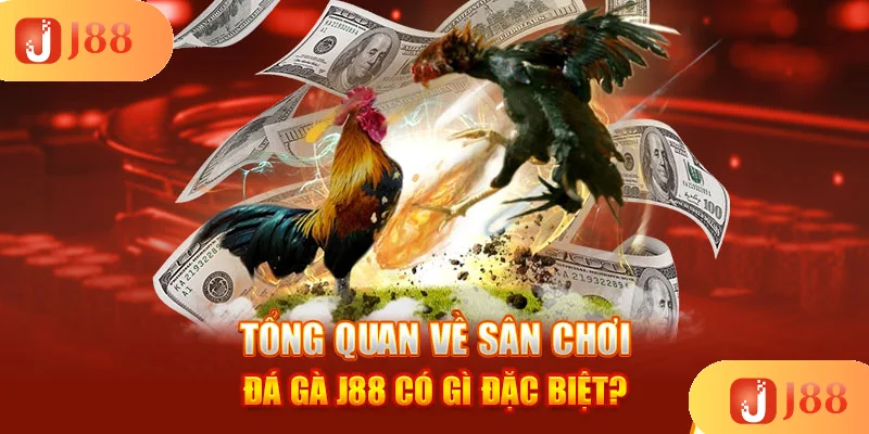 tong-quan-ve-san-choi-da-ga-j88-co-gi-dac-biet