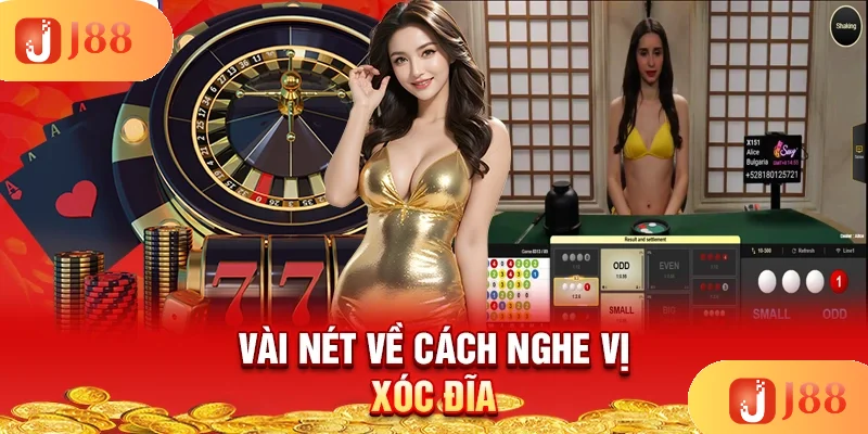 vai-net-ve-cach-nghe-vi-xoc-dia vai-net-ve-cach-nghe-vi-xoc-dia