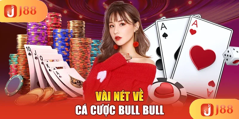 vai-net-ve-ca-cuoc-bull-bull