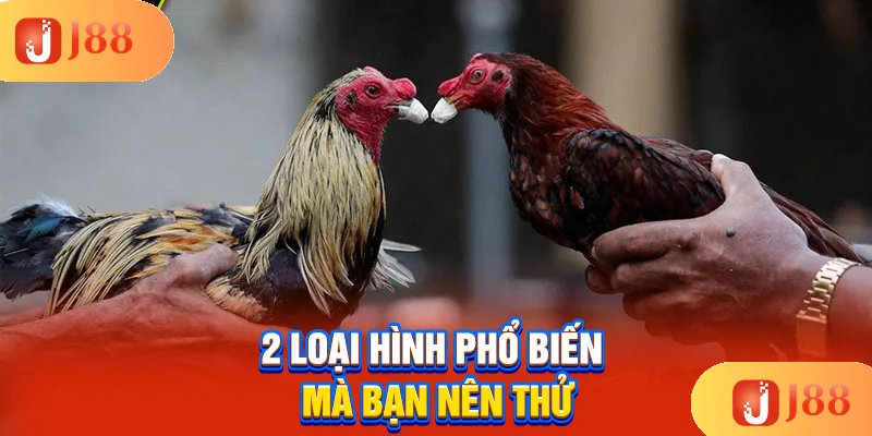 2-loai-hinh-pho-bien-ma-ban-nen-thu 2-loai-hinh-pho-bien-ma-ban-nen-thu