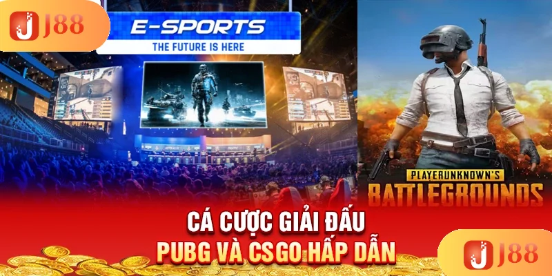 ca-cuoc-giai-dau-pubg-va-csgo-hap-dan ca-cuoc-giai-dau-pubg-va-csgo-hap-dan