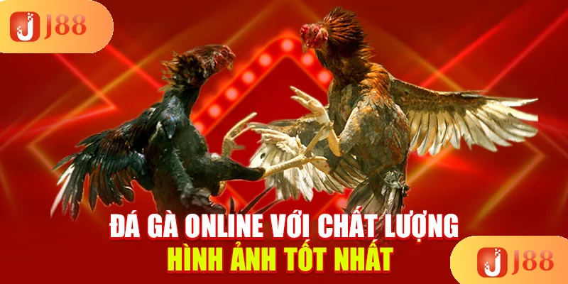 da-ga-online-voi-chat-luong-hinh-anh-tot-nhat- da-ga-online-voi-chat-luong-hinh-anh-tot-nhat-