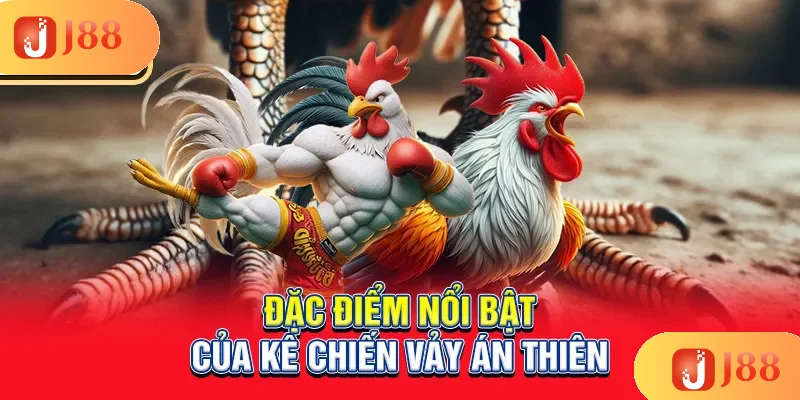 dac-diem-noi-bat-cua-ke-chien-vay-an-thien_1_11zon