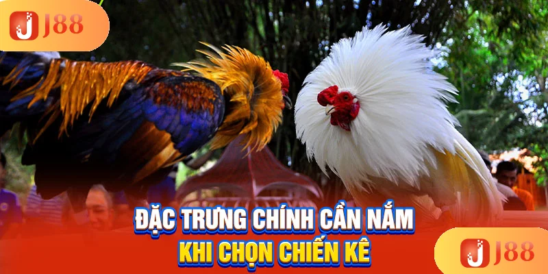 dac-trung-chinh-can-nam-khi-chon-chien-ke