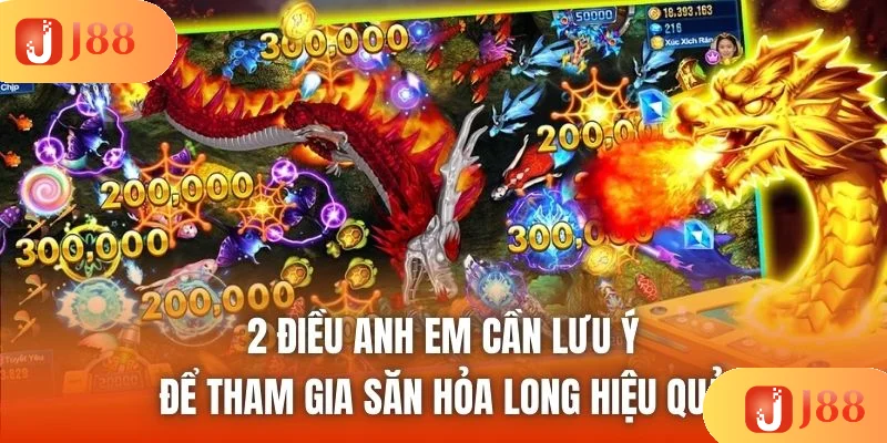 2 điều anh em cần lưu ý để tham gia săn hỏa long hiệu quả 2 điều anh em cần lưu ý để tham gia săn hỏa long hiệu quả