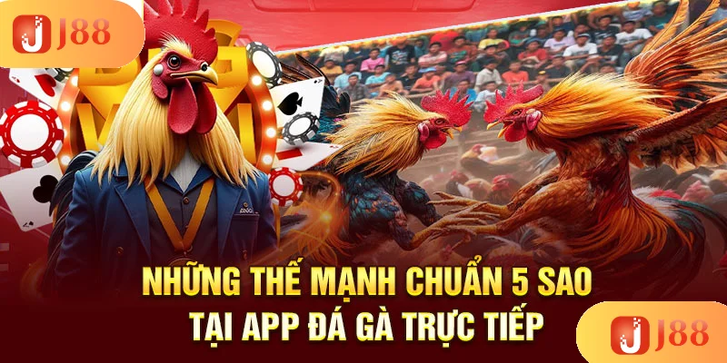 nhung-the-manh-chuan-5-sao-tai-app-da-ga-truc-tiep nhung-the-manh-chuan-5-sao-tai-app-da-ga-truc-tiep