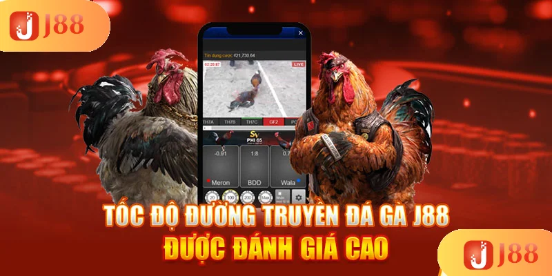 toc-do-duong-truyen-da-ga-j88-duoc-danh-gia-cao