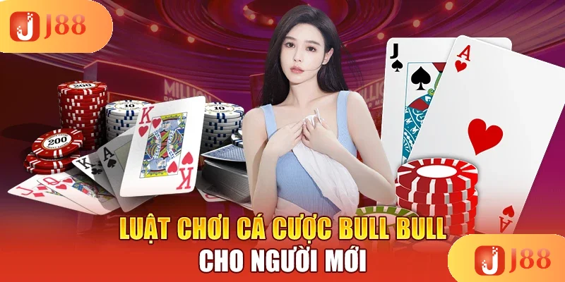 luat-choi-ca-cuoc-bull-bull-cho-nguoi-moi
