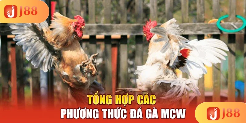 tong-hop-cac-phuong-thuc-da-ga-mcw tong-hop-cac-phuong-thuc-da-ga-mcw