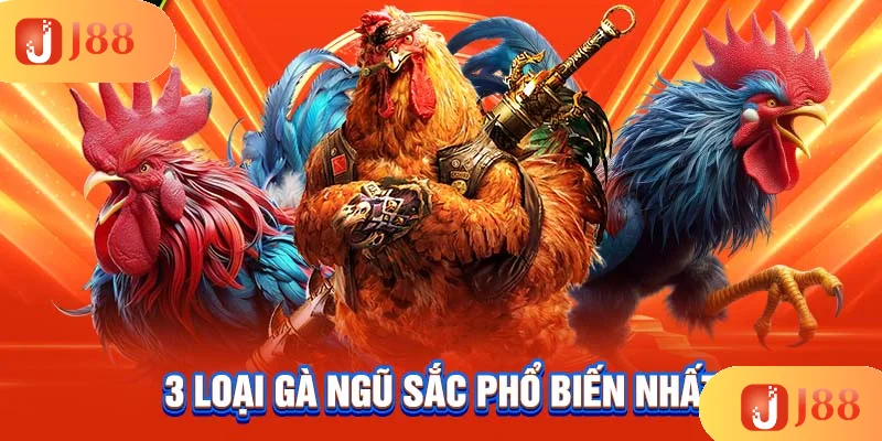 3-loai-ga-ngu-sac-pho-bien-nhat