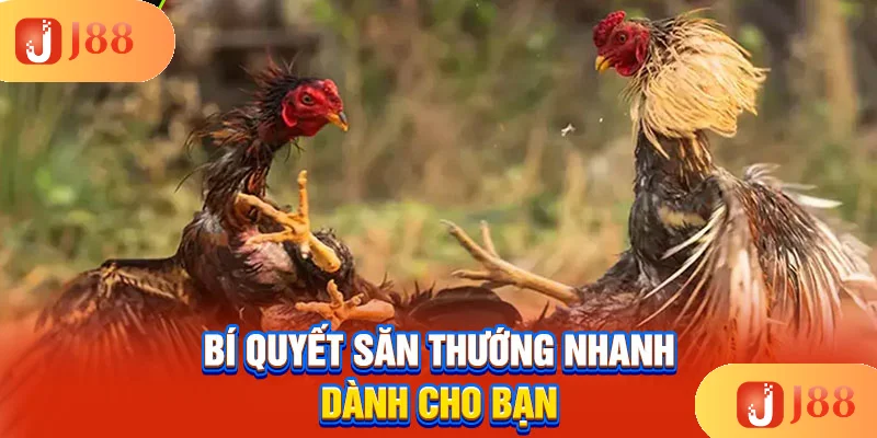 bi-quyet-san-thuong-nhanh-danh-cho-ban bi-quyet-san-thuong-nhanh-danh-cho-ban