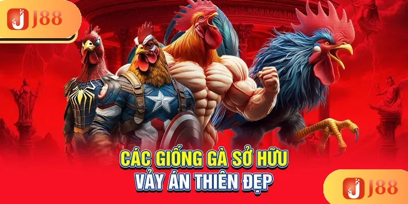 cac-giong-ga-so-huu-vay-an-thien-dep_2_11zon