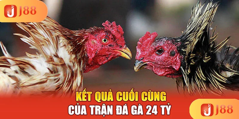 ket-qua-cuoi-cung-cua-tran-da-ga-24-ty ket-qua-cuoi-cung-cua-tran-da-ga-24-ty