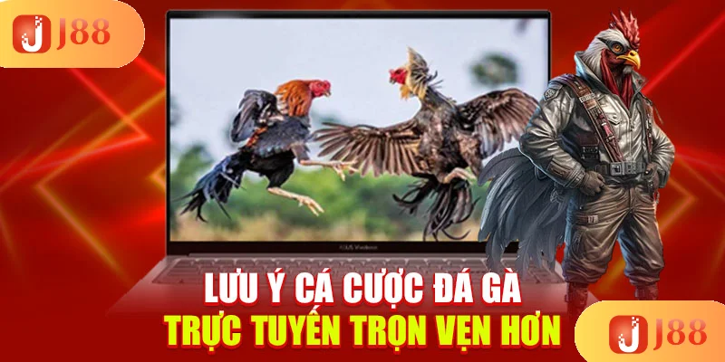 luu-y-ca-cuoc-da-ga-truc-tuyen-tron-ven-hon luu-y-ca-cuoc-da-ga-truc-tuyen-tron-ven-hon