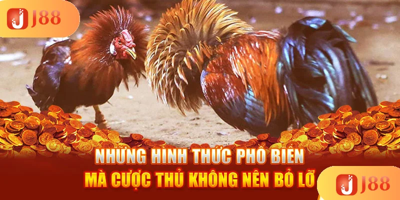 nhung-hinh-thuc-pho-bien-ma-cuoc-thu-khong-nen-bo-lo