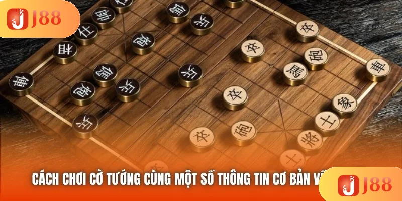 Cách chơi cờ tướng cùng một số thông tin cơ bản về bộ môn