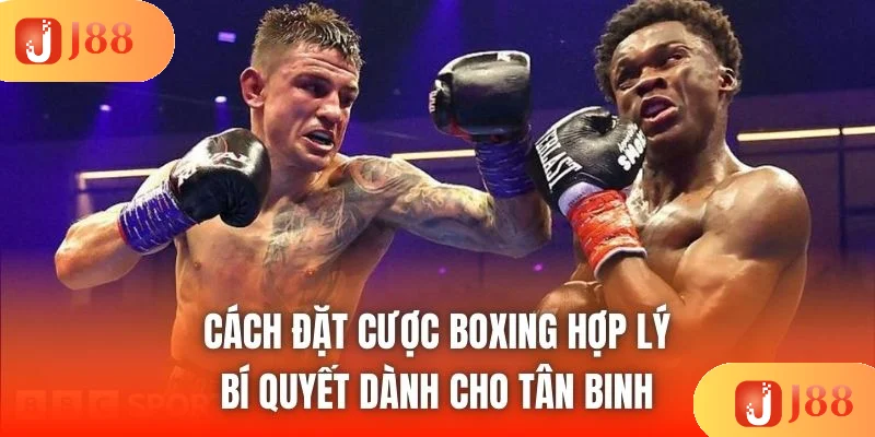 Cách Đặt Cược Boxing Hợp Lý | Bí Quyết Dành Cho Tân Binh