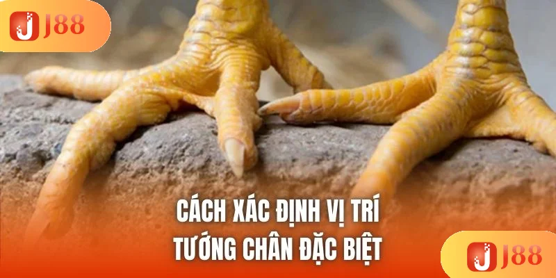 Cách xác định vị trí tướng chân đặc biệt