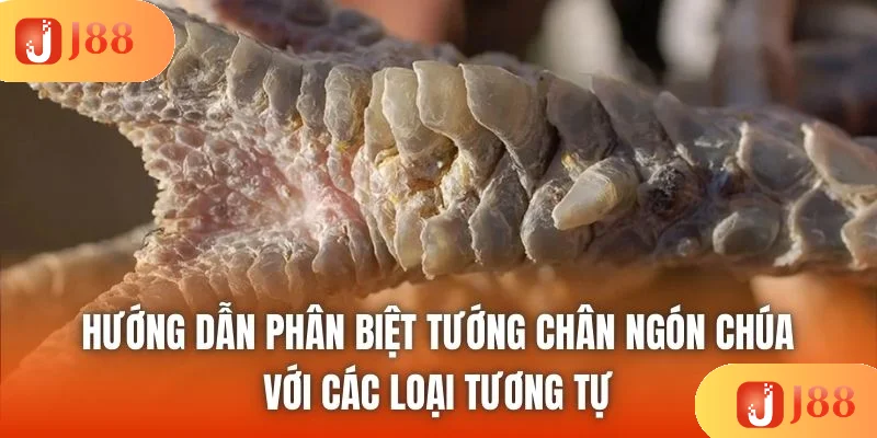 Hướng dẫn phân biệt tướng chân ngón chúa với các loại tương tự