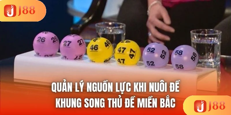 Quản lý nguồn lực khi nuôi đề khung song thủ đề miền Bắc Quản lý nguồn lực khi nuôi đề khung song thủ đề miền Bắc