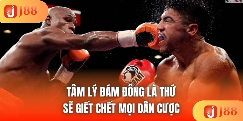 Tâm lý đám đông là thứ sẽ giết chết mọi dân cược Tâm lý đám đông là thứ sẽ giết chết mọi dân cược