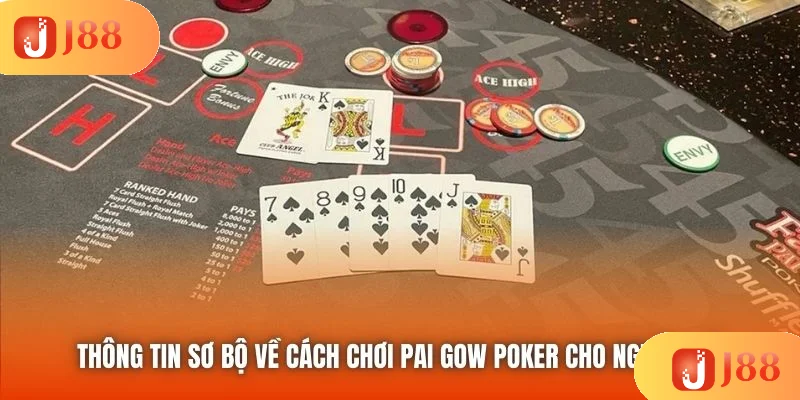 Thông tin sơ bộ về cách chơi Pai Gow Poker cho người mới