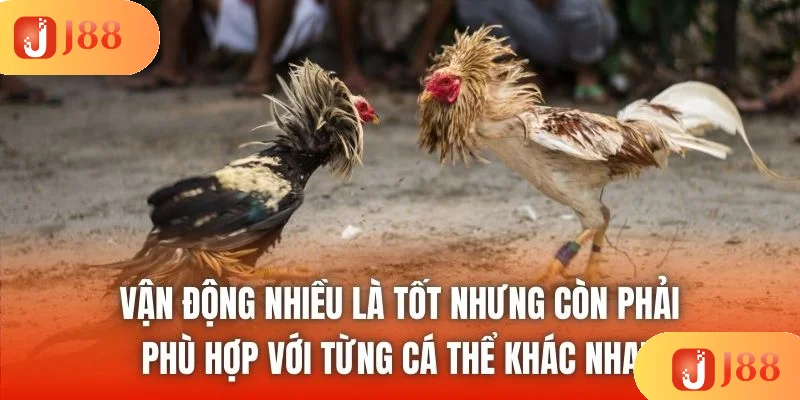 Vận động nhiều là tốt nhưng còn phải phù hợp với từng cá thể khác nhau Vận động nhiều là tốt nhưng còn phải phù hợp với từng cá thể khác nhau
