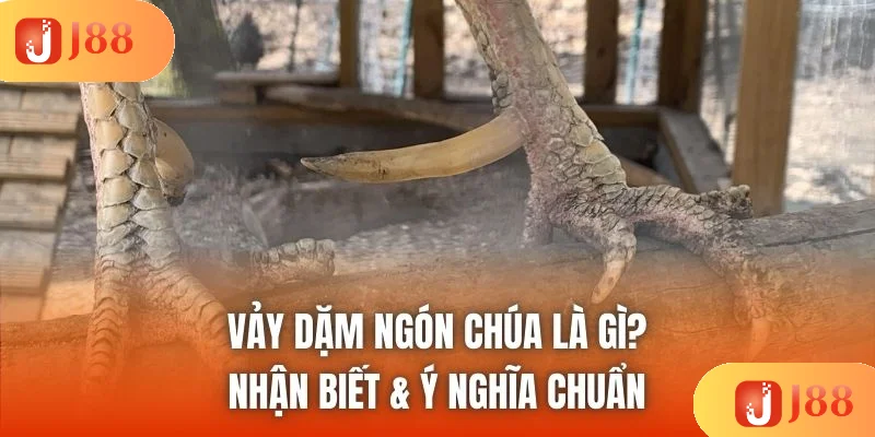 Vảy Dặm Ngón Chúa Là Gì? Nhận Biết & Ý Nghĩa Chuẩn
