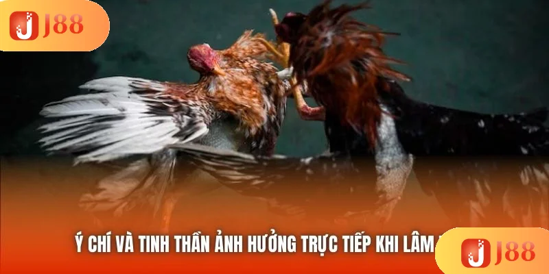 Ý chí và tinh thần ảnh hưởng trực tiếp khi lâm trận Ý chí và tinh thần ảnh hưởng trực tiếp khi lâm trận